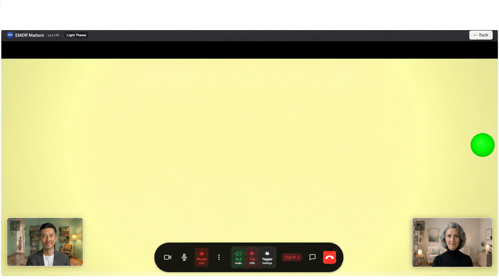 Client view with bilateral stimulation animation