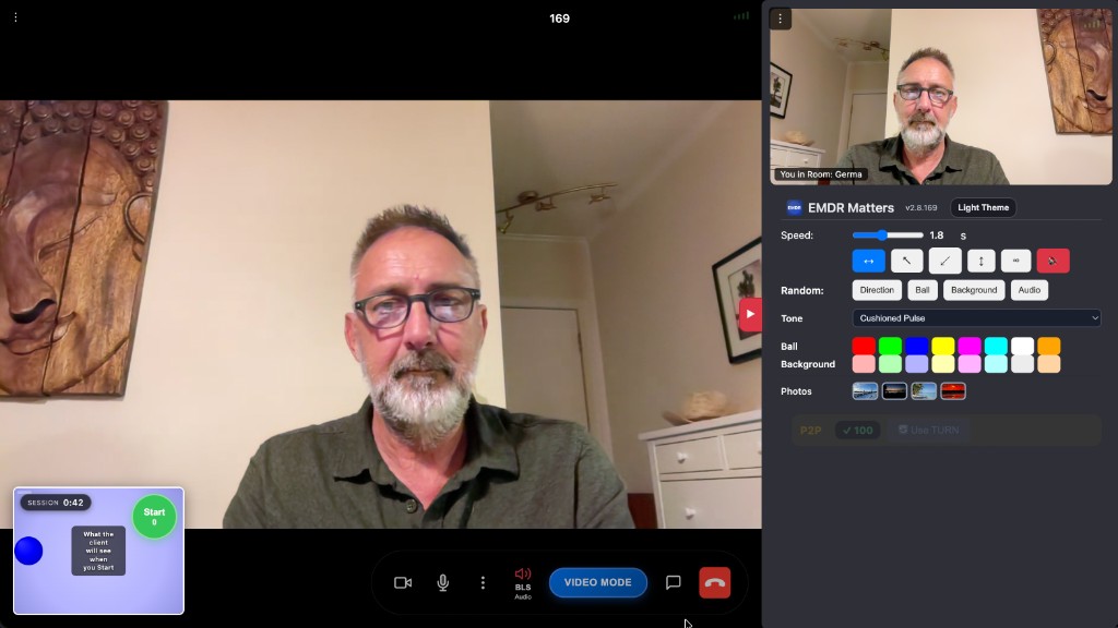 Example therapist view in an online EMDR video session with bilateral stimulation controls